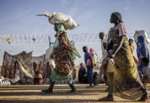 Sudan’s crisis: A call for urgent international intervention amid widespread war crimes