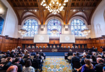 In a landmark ruling, ICJ declares healthy environment is a human right
