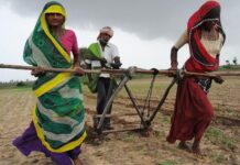 Govt Unveils El Niño Contingency Plan to Safeguard Kharif Crops