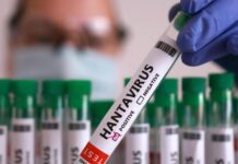 WHO Confirms 5 Hantavirus Cases in Cruise Ship Outbreak