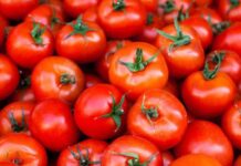 Retail Inflation Hits 16-Month Peak at 3.93% as Food and Fuel Prices Climb