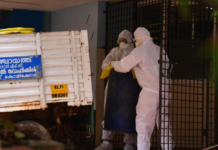 Kerala Nipah Alert: Patient on Ventilator as 77 Contacts Monitored, No Symptoms Reported