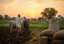 Why Market Reforms Alone Cannot Fix Indian Agriculture?