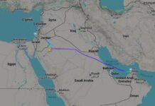 Flydubai Flight to Israel Diverted to Saudi Arabia After Pilot Altercation